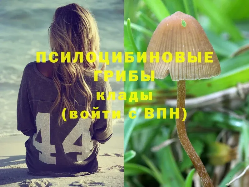 Галлюциногенные грибы MAGIC MUSHROOMS  Мамоново 